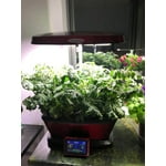 Image 7 of customer photos