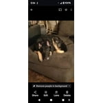 Image 2 of customer photos