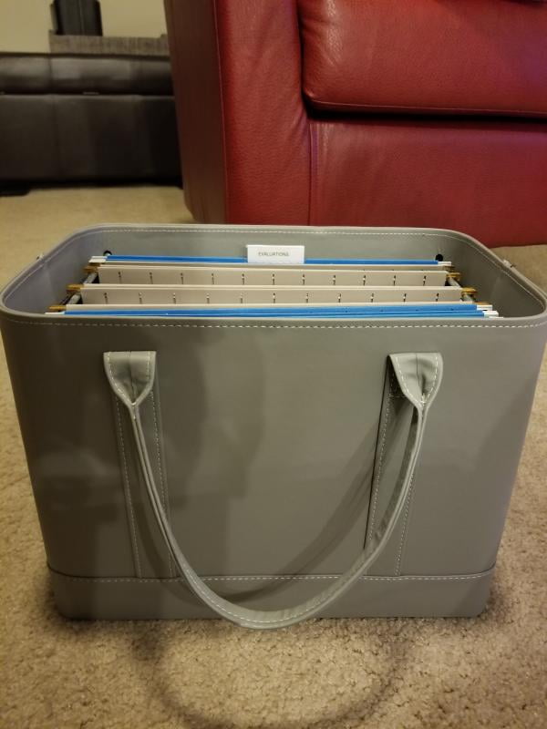 file organizer tote