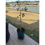 Image 7 of customer photos