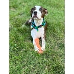 Image 7 of customer photos