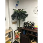 Image 2 of customer photos