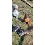 Image 1 of customer photos