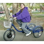 cozytrikes electric tricycle