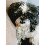 Image 3 of customer photos