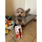 Image 6 of customer photos