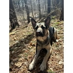 Image 7 of customer photos