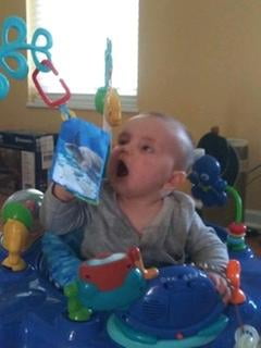 baby einstein neptune's ocean discovery jumper age