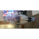 Image 2 of customer photos