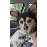 Image 7 of customer photos