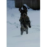 Image 4 of customer photos