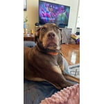 Image 4 of customer photos