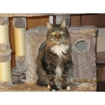 Image 5 of customer photos