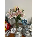 Image 5 of customer photos