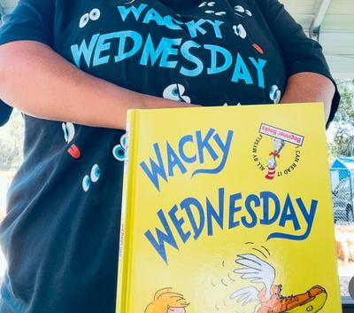 Dr. Seuss, Wacky Wednesday Hardcover, ISBN 9780394829128 - Walmart.com