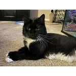 Image 6 of customer photos