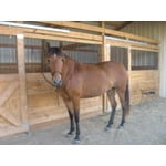 Image 7 of customer photos