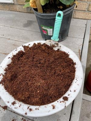 Customer reviews for ZeeDix Organic Compressed Coco Coir Brick