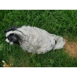 Image 5 of customer photos