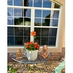 Image 4 of customer photos