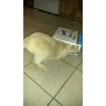 Image 6 of customer photos