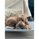 Image 7 of customer photos