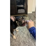 Image 3 of customer photos