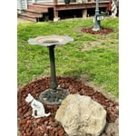 Image 2 of customer photos