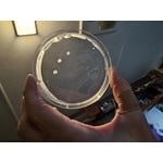 Image 7 of customer photos