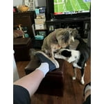 Image 1 of customer photos