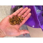 Imagen 2 de las fotos del cliente