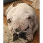 Image 5 of customer photos