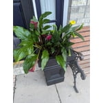 Image 2 of customer photos