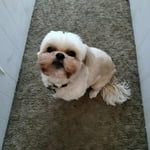 Image 5 of customer photos