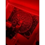 Image 2 of customer photos