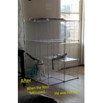 Image 2 of customer photos