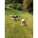 Image 7 of customer photos