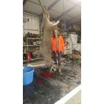 Image 7 of customer photos