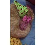 Image 6 of customer photos
