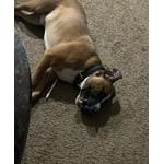 Image 2 of customer photos