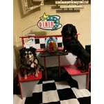 Image 4 of customer photos