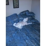 Image 5 of customer photos