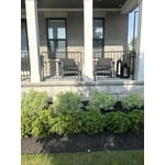 Image 8 of customer photos
