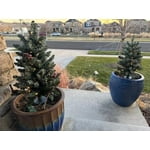 Image 4 of customer photos