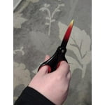 Image 5 of customer photos