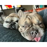 Image 5 of customer photos