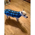 Image 4 of customer photos