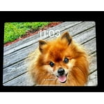 Image 5 of customer photos