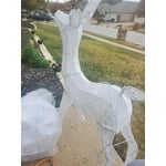 Image 7 of customer photos