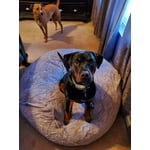 Image 6 of customer photos